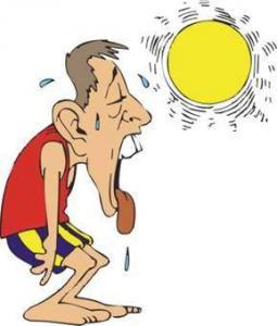 summer heat problems prevention tips